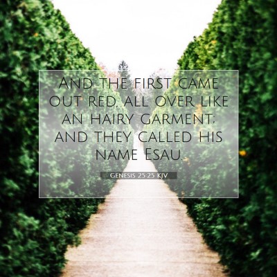 Picture 07 - Genesis 25:25 KJV - And the first came out red, all over like an - Bible Verse Picture