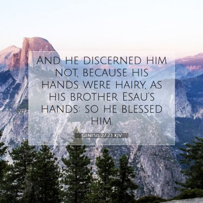 Picture 07 - Genesis 27:23 KJV - And he discerned him not, because his hands were - Bible Verse Picture