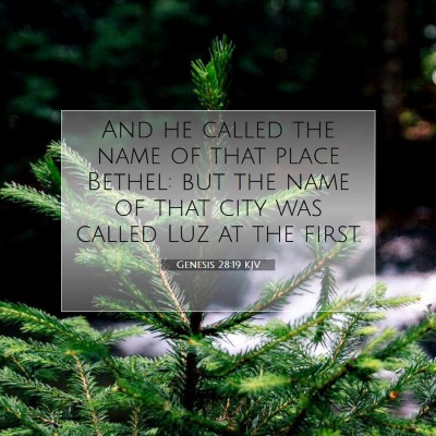 Picture 07 - Genesis 28:19 KJV - And he called the name of that place Bethel: but - Bible Verse Picture