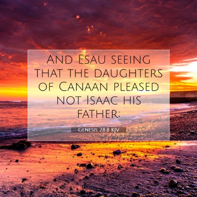 Picture 07 - Genesis 28:8 KJV - And Esau seeing that the daughters of Canaan - Bible Verse Picture