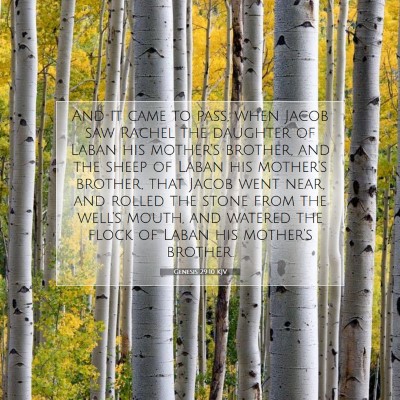 Picture 07 - Genesis 29:10 KJV - And it came to pass, when Jacob saw Rachel the - Bible Verse Picture