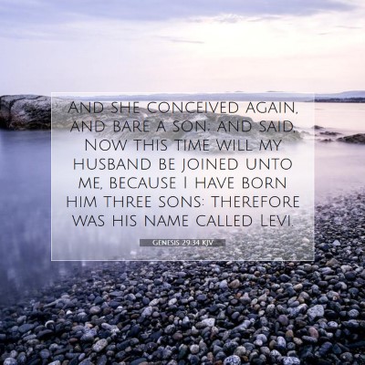 Picture 07 - Genesis 29:34 KJV - And she conceived again, and bare a son; and - Bible Verse Picture
