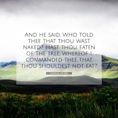 Picture 07 - Genesis 3:11 KJV - And he said, Who told thee that thou wast naked? - Bible Verse Picture