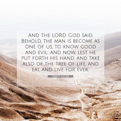 Picture 07 - Genesis 3:22 KJV - And the LORD God said, Behold, the man is become - Bible Verse Picture