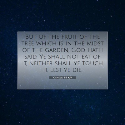 Picture 07 - Genesis 3:3 KJV - But of the fruit of the tree which is in the - Bible Verse Picture