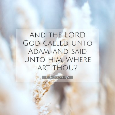 Picture 07 - Genesis 3:9 KJV - And the LORD God called unto Adam, and said unto - Bible Verse Picture