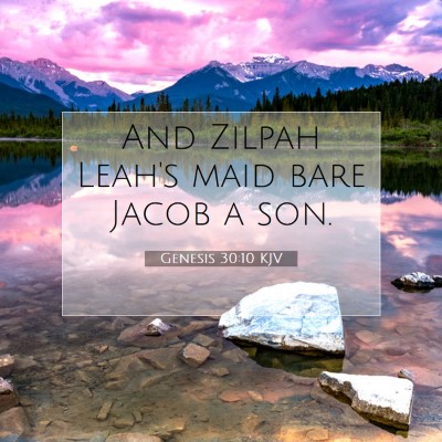 Picture 07 - Genesis 30:10 KJV - And Zilpah Leah's maid bare Jacob a - Bible Verse Picture
