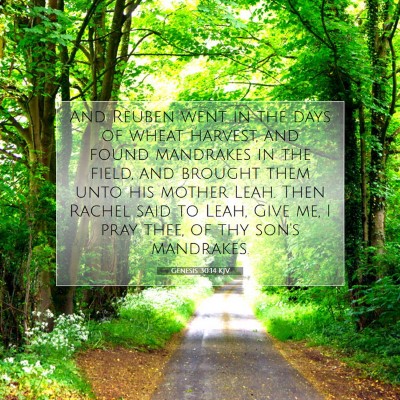 Picture 07 - Genesis 30:14 KJV - And Reuben went in the days of wheat harvest, and - Bible Verse Picture