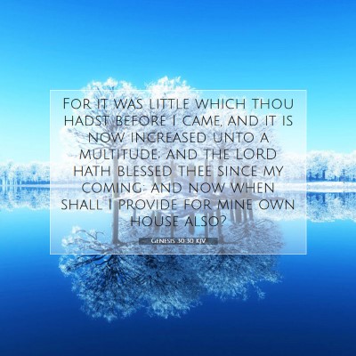 Picture 07 - Genesis 30:30 KJV - For it was little which thou hadst before I came, - Bible Verse Picture