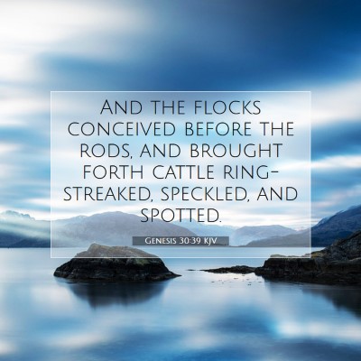 Picture 07 - Genesis 30:39 KJV - And the flocks conceived before the rods, and - Bible Verse Picture
