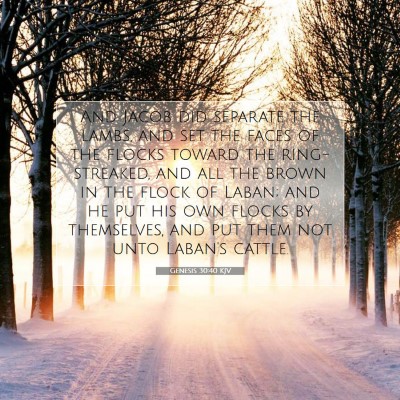 Picture 07 - Genesis 30:40 KJV - And Jacob did separate the lambs, and set the - Bible Verse Picture