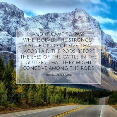 Picture 07 - Genesis 30:41 KJV - And it came to pass, whensoever the stronger - Bible Verse Picture
