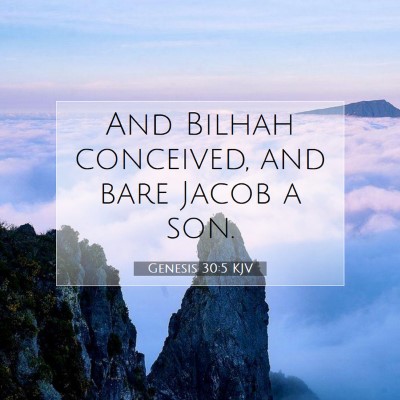 Picture 07 - Genesis 30:5 KJV - And Bilhah conceived, and bare Jacob a - Bible Verse Picture