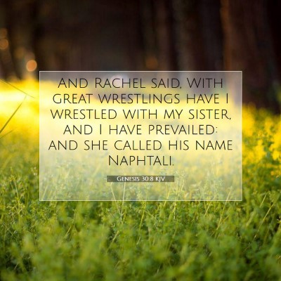 Picture 07 - Genesis 30:8 KJV - And Rachel said, With great wrestlings have I - Bible Verse Picture