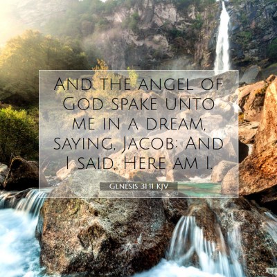 Picture 07 - Genesis 31:11 KJV - And the angel of God spake unto me in a dream, - Bible Verse Picture