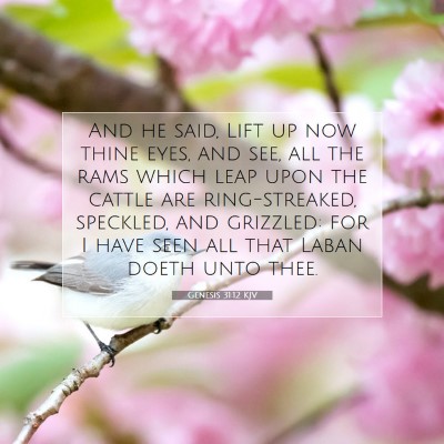 Picture 07 - Genesis 31:12 KJV - And he said, Lift up now thine eyes, and see, all - Bible Verse Picture