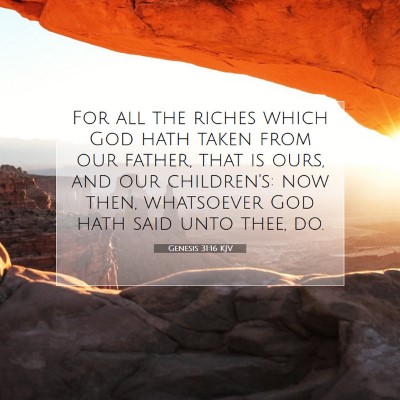 Picture 07 - Genesis 31:16 KJV - For all the riches which God hath taken from our - Bible Verse Picture