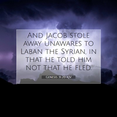 Picture 07 - Genesis 31:20 KJV - And Jacob stole away unawares to Laban the - Bible Verse Picture