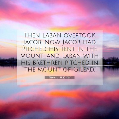 Picture 07 - Genesis 31:25 KJV - Then Laban overtook Jacob. Now Jacob had pitched - Bible Verse Picture