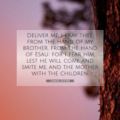 Picture 07 - Genesis 32:11 KJV - Deliver me, I pray thee, from the hand of my - Bible Verse Picture