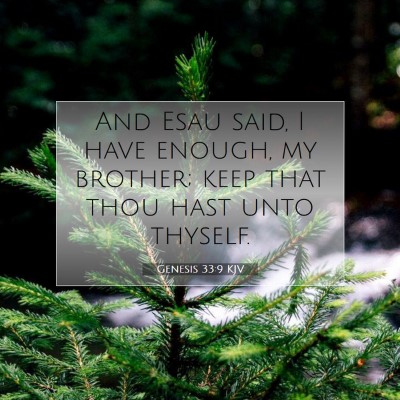 Picture 07 - Genesis 33:9 KJV - And Esau said, I have enough, my brother; keep - Bible Verse Picture