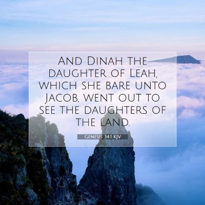 Picture 07 - Genesis 34:1 KJV - And Dinah the daughter of Leah, which she bare - Bible Verse Picture