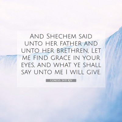 Picture 07 - Genesis 34:11 KJV - And Shechem said unto her father and unto her - Bible Verse Picture