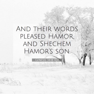 Picture 07 - Genesis 34:18 KJV - And their words pleased Hamor, and Shechem - Bible Verse Picture