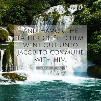 Picture 07 - Genesis 34:6 KJV - And Hamor the father of Shechem went out unto - Bible Verse Picture