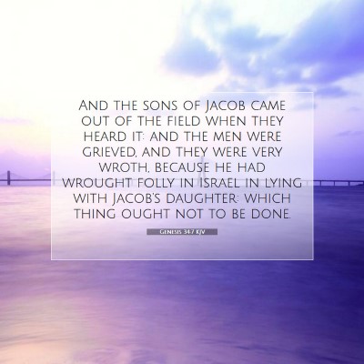 Picture 07 - Genesis 34:7 KJV - And the sons of Jacob came out of the field when - Bible Verse Picture