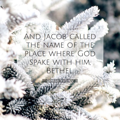 Picture 07 - Genesis 35:15 KJV - And Jacob called the name of the place where God - Bible Verse Picture
