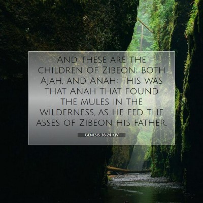Picture 07 - Genesis 36:24 KJV - And these are the children of Zibeon; both Ajah, - Bible Verse Picture