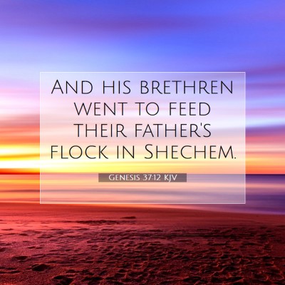 Picture 07 - Genesis 37:12 KJV - And his brethren went to feed their father's - Bible Verse Picture