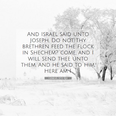 Picture 07 - Genesis 37:13 KJV - And Israel said unto Joseph, Do not thy brethren - Bible Verse Picture