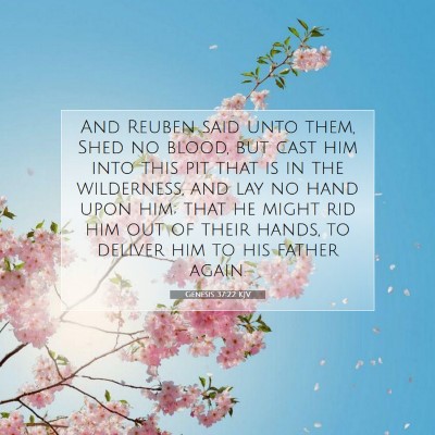 Picture 07 - Genesis 37:22 KJV - And Reuben said unto them, Shed no blood, but - Bible Verse Picture