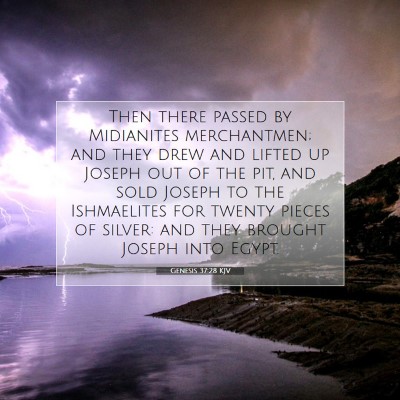 Picture 07 - Genesis 37:28 KJV - Then there passed by Midianites merchantmen; and - Bible Verse Picture