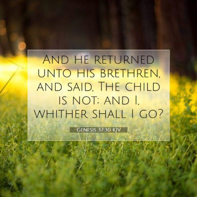 Picture 07 - Genesis 37:30 KJV - And he returned unto his brethren, and said, The - Bible Verse Picture