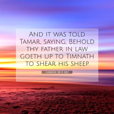 Picture 07 - Genesis 38:13 KJV - And it was told Tamar, saying, Behold thy father - Bible Verse Picture