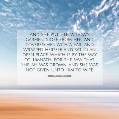 Picture 07 - Genesis 38:14 KJV - And she put her widow's garments off from her, - Bible Verse Picture