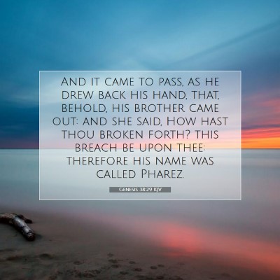 Picture 07 - Genesis 38:29 KJV - And it came to pass, as he drew back his hand, - Bible Verse Picture