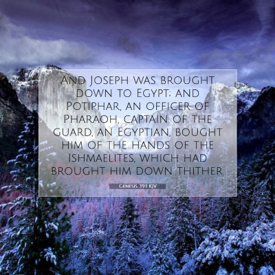 Picture 07 - Genesis 39:1 KJV - And Joseph was brought down to Egypt; and - Bible Verse Picture