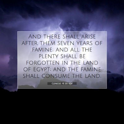 Picture 07 - Genesis 41:30 KJV - And there shall arise after them seven years of - Bible Verse Picture