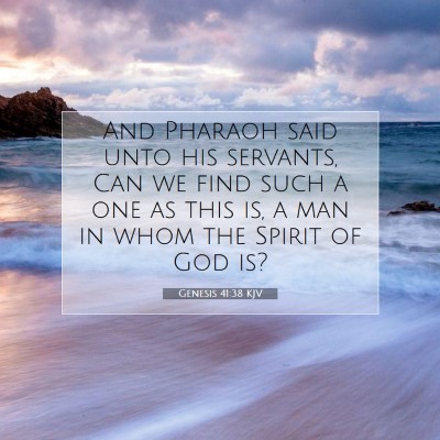 Picture 07 - Genesis 41:38 KJV - And Pharaoh said unto his servants, Can we find - Bible Verse Picture