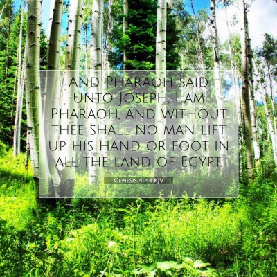 Picture 07 - Genesis 41:44 KJV - And Pharaoh said unto Joseph, I am Pharaoh, and - Bible Verse Picture