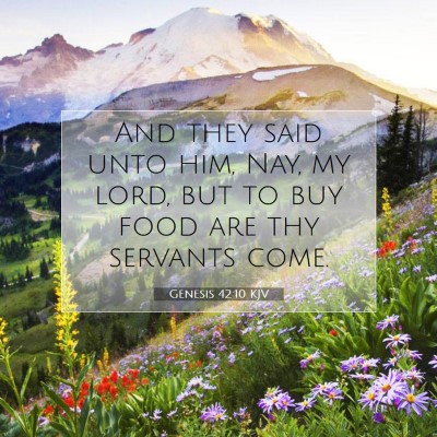 Picture 07 - Genesis 42:10 KJV - And they said unto him, Nay, my lord, but to buy - Bible Verse Picture