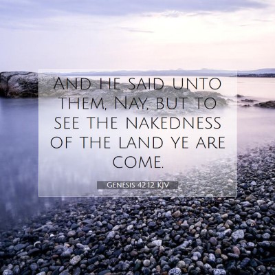 Picture 07 - Genesis 42:12 KJV - And he said unto them, Nay, but to see the - Bible Verse Picture