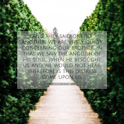 Picture 07 - Genesis 42:21 KJV - And they said one to another, We are verily - Bible Verse Picture