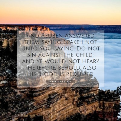 Picture 07 - Genesis 42:22 KJV - And Reuben answered them, saying, Spake I not - Bible Verse Picture