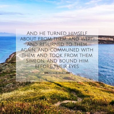Picture 07 - Genesis 42:24 KJV - And he turned himself about from them, and wept; - Bible Verse Picture