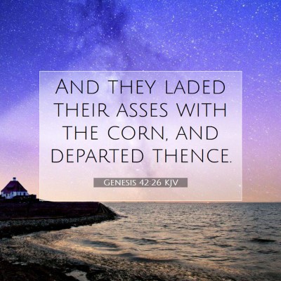 Picture 07 - Genesis 42:26 KJV - And they laded their asses with the corn, and - Bible Verse Picture